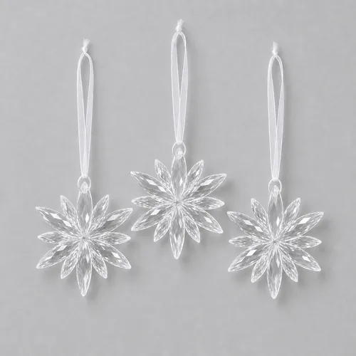 3 fleurs de givre